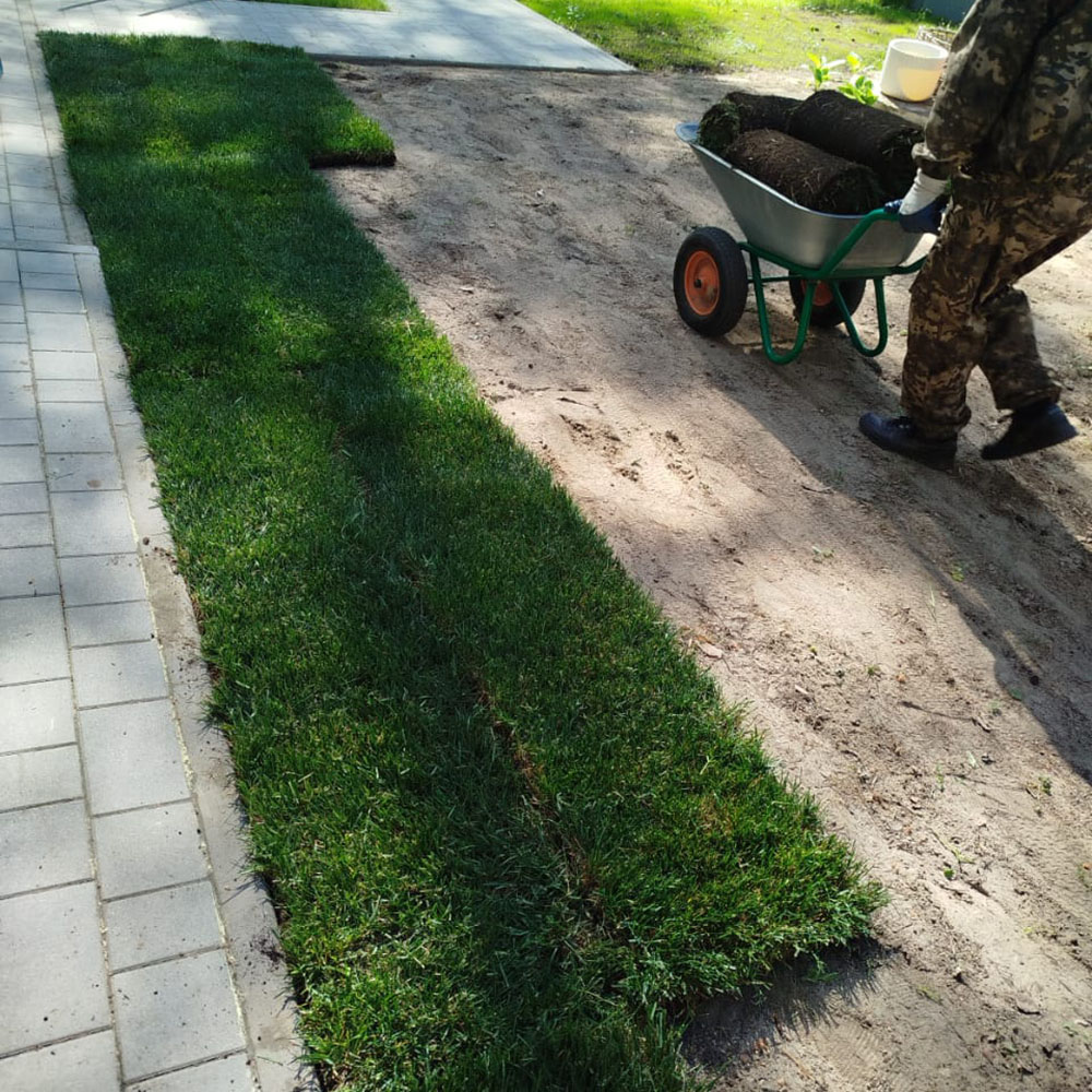 картинка Укладка рулонного газона магазин EasyLawn
