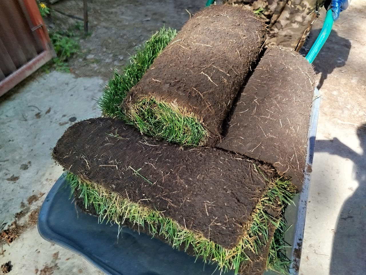 картинка Укладка рулонного газона магазин EasyLawn